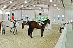 EAP-6-27-19-7085-Karen Healey-DDeRosaPhoto