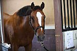 EAP-6-27-19-1152-Rachel Long-DDeRosaPhoto