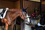 EAP-6-28-19-1424-DDeRosaPhoto