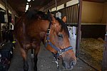 EAP-6-28-19-2058-DDeRosaPhoto