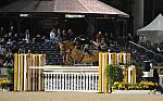 10-LizaBoyd-Brunello-AHJFHtrClassic-2-20-10-0874-DDeRosaPhoto.jpg