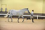 USHJA-Derby-8-19-10-Jog-DER_6830-DDeRosaPhoto.JPG