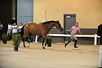 USHJA-Derby-8-19-10-Jog-DER_6833-DDeRosaPhoto.JPG