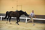 USHJA-Derby-8-19-10-Jog-DER_6843-DDeRosaPhoto.JPG