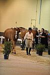 USHJA-Derby-8-19-10-Jog-DER_6850-DDeRosaPhoto.JPG