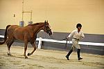 USHJA-Derby-8-19-10-Jog-DER_6853-DDeRosaPhoto.JPG