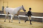 USHJA-Derby-8-19-10-Jog-DER_6859-DDeRosaPhoto.JPG