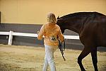 USHJA-Derby-8-19-10-Jog-DER_6957-DDeRosaPhoto.JPG