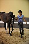 USHJA-Derby-8-19-10-Jog-DER_6973-DDeRosaPhoto.JPG