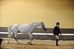 USHJA-Derby-8-19-10-Jog-DER_6979-DDeRosaPhoto.JPG