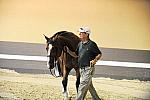 USHJA-Derby-8-19-10-Jog-DER_6984-DDeRosaPhoto.jpg