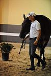 USHJA-Derby-8-19-10-Jog-DER_6999-DDeRosaPhoto.JPG