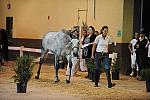 USHJA-Derby-8-19-10-Jog-DER_7020-DDeRosaPhoto.JPG