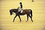 USHJA-Derby-8-19-10-Schooling-DER_6686-DDeRosaPhoto.jpg