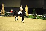 USHJA-Derby-8-19-10-Schooling-DER_6690-DDeRosaPhoto.jpg