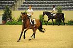 USHJA-Derby-8-19-10-Schooling-DER_6694-DDeRosaPhoto.JPG