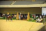 USHJA-Derby-8-19-10-Schooling-DER_6772-DDeRosaPhoto.JPG