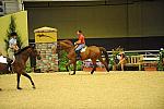 USHJA-Derby-8-19-10-Schooling-DER_6785-DDeRosaPhoto.JPG