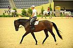 USHJA-Derby-8-19-10-Schooling-DER_6788-DDeRosaPhoto.JPG