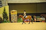 USHJA-Derby-8-19-10-Schooling-DER_6803-DDeRosaPhoto.JPG