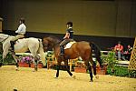 USHJA-Derby-8-19-10-Schooling-DER_6822-DDeRosaPhoto.JPG