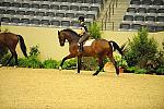 USHJA-Derby-8-19-10-Schooling-DER_6823-DDeRosaPhoto.JPG