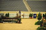 USHJA-Derby-8-20-10-DER_7454-QRnd1-Valedictorian-LillieKeenan-DDeRosaPhoto.jpg