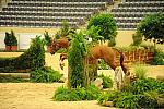 USHJA-Derby-8-20-10-DER_7554-QRnd1-DueWest-ShaneSweetnam-DDeRosaPhoto.jpg