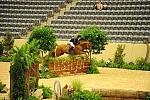 USHJA-Derby-8-20-10-DER_7557-QRnd1-DueWest-ShaneSweetnam-DDeRosaPhoto.jpg