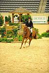 USHJA-Derby-8-20-10-DER_7563-QRnd1-DueWest-ShaneSweetnam-DDeRosaPhoto.jpg