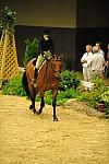 USHJA-Derby-8-20-10-DER_7601-QRnd1-Lavasco-PaigeBrodbeck-DDeRosaPhoto.jpg