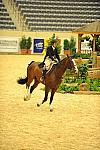 USHJA-Derby-8-20-10-DER_7641-QRnd1-Valient-TammyProvost-DDeRosaPhoto.jpg