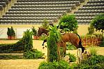 USHJA-Derby-8-20-10-DER_7643-QRnd1-Valient-TammyProvost-DDeRosaPhoto.jpg
