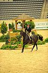 USHJA-Derby-8-20-10-DER_7690-QRnd1-Ebony-RachelKennedy-DDeRosaPhoto.jpg