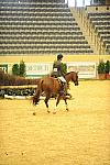 USHJA-Derby-8-20-10-DER_7927-QRnd1-Alamo-ChaseBoggio-DDeRosaPhoto.jpg