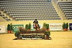 USHJA-Derby-8-20-10-DER_7990-QRnd1-Onassis-SarahWard-DDeRosaPhoto.jpg