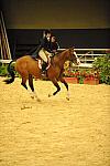 USHJA-Derby-8-20-10-DER_7999-QRnd1-Onassis-SarahWard-DDeRosaPhoto.jpg