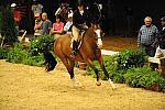 USHJA-Derby-8-20-10-DER_8000-QRnd1-Onassis-SarahWard-DDeRosaPhoto.jpg