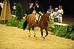 USHJA-Derby-8-20-10-DER_8047-QRnd1-BasesLoaded-KelleyFarmer-DDeRosaPhoto.jpg