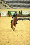 USHJA-Derby-8-20-10-DER_8064-QRnd1-SugarBoy-TammyProvost-DDeRosaPhoto.jpg