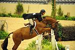 USHJA-Derby-8-20-10-DER_8067-QRnd1-SugarBoy-TammyProvost-DDeRosaPhoto.jpg