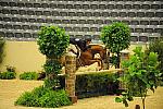 USHJA-Derby-8-20-10-DER_8071-QRnd1-SugarBoy-TammyProvost-DDeRosaPhoto.jpg