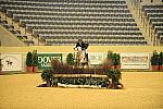 USHJA-Derby-8-20-10-DER_8467-QRnd1-RextheWonderHorse-RichardRhinehart-DDeRosaPhoto.jpg