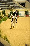 USHJA-Derby-8-20-10-DER_8468-QRnd1-RextheWonderHorse-RichardRhinehart-DDeRosaPhoto.jpg