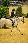 USHJA-Derby-8-20-10-DER_8484-QRnd1-RextheWonderHorse-RichardRhinehart-DDeRosaPhoto.jpg