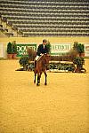 USHJA-Derby-8-20-10-DER_8491-QRnd1-Colorado-HuntTosh-DDeRosaPhoto.jpg