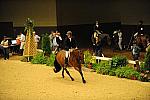 USHJA-Derby-8-20-10-DER_8499-QRnd1-Colorado-HuntTosh-DDeRosaPhoto.jpg