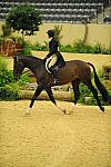USHJA-Derby-8-20-10-DER_8507-QRnd1-Apparition-JordanSiegel-DDeRosaPhoto.jpg