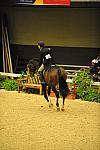 USHJA-Derby-8-20-10-DER_8533-QRnd1-Apparition-JordanSiegel-DDeRosaPhoto.jpg