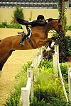 USHJA-Derby-8-20-10-DER_8615-QRnd1-Genuine-LillieKeenan-DDeRosaPhoto.jpg
